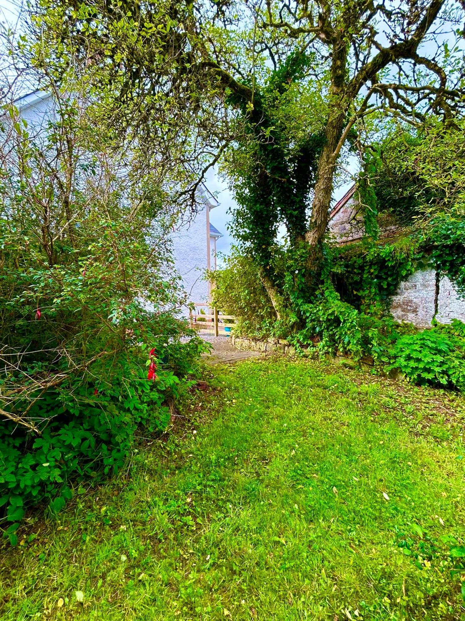 Villa Lime Tree House Maguires Bridge Esterno foto