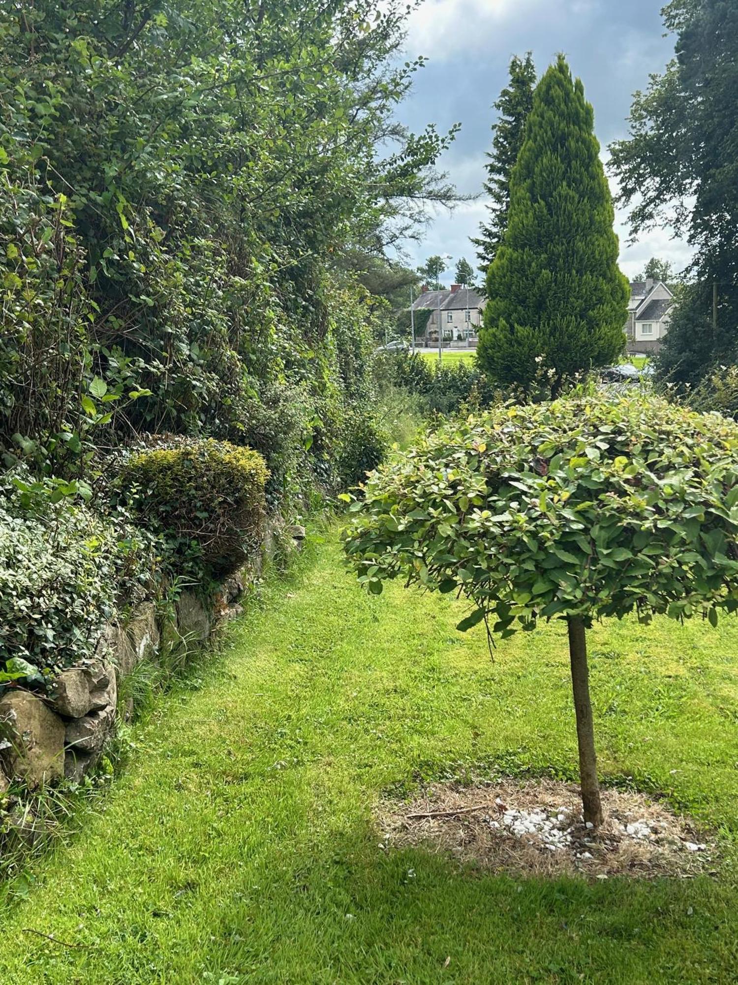 Villa Lime Tree House Maguires Bridge Esterno foto